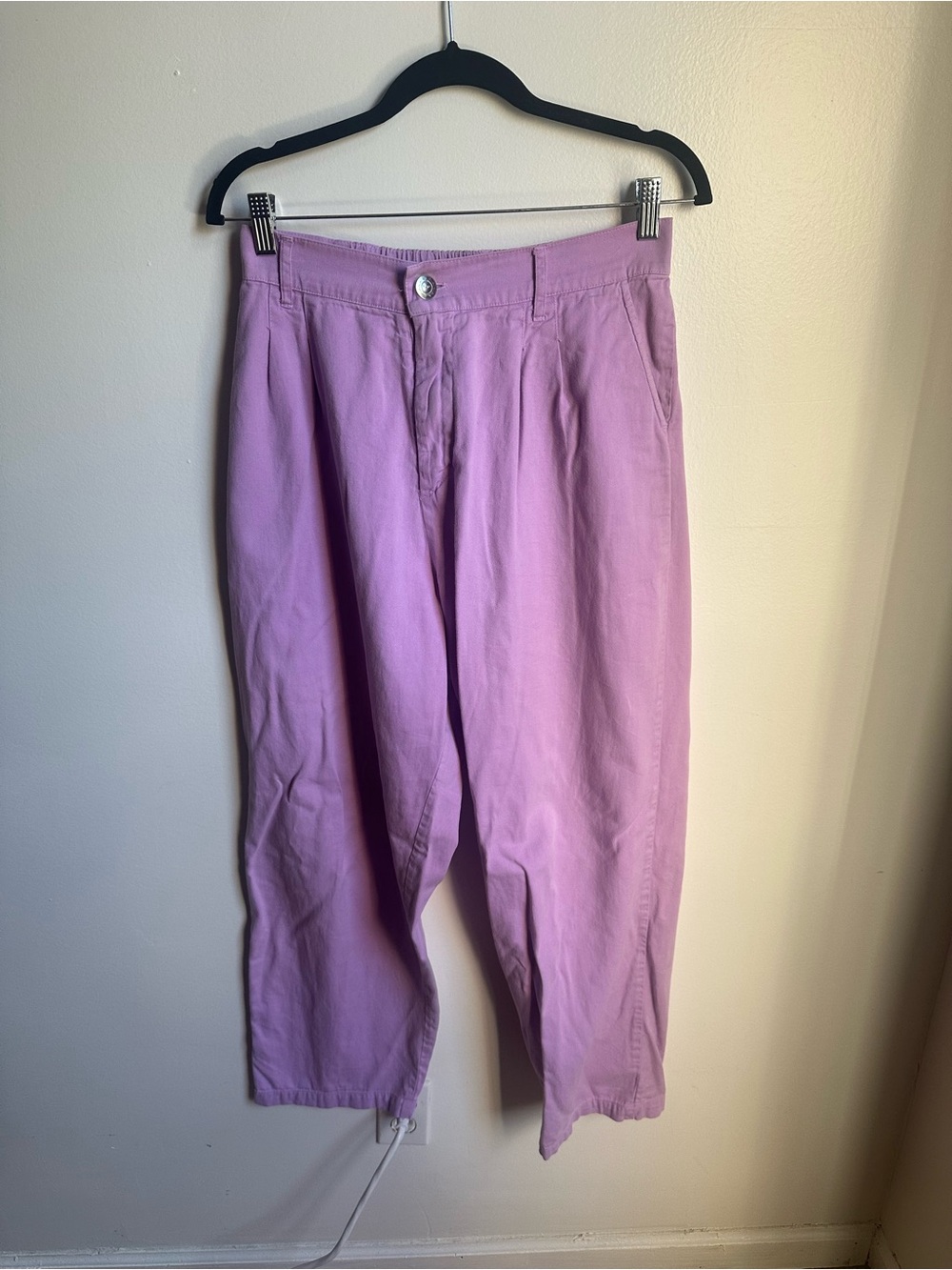 Big Bud Press Lavender Trousers